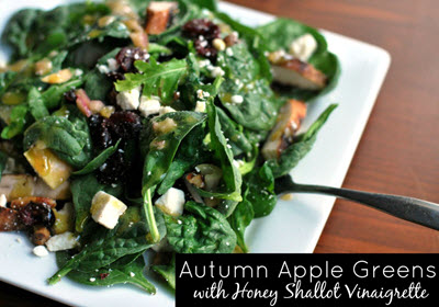 Autumn Apple Greens with Honey Shallot Vinaigrette