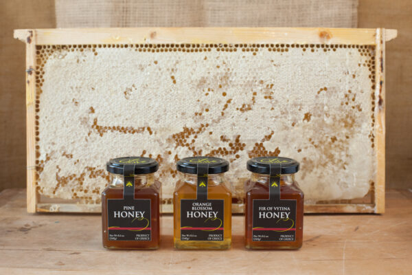 Greek Honey - Pine (8.5 Net Wt. Oz.)